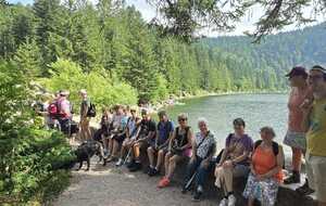 "Du sport plein la vue" avec les Amis du Hohneck