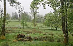 Paysages choisis, atmosphère et émotions  !