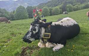 Pour ce jour de la Transhumance, les vaches sont à la Fête, décorées de fleurs et sont les reines de cette journée !..