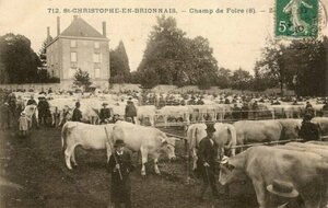 Marché au bestiaux de Saint Christophe et Abbaye de Cluny