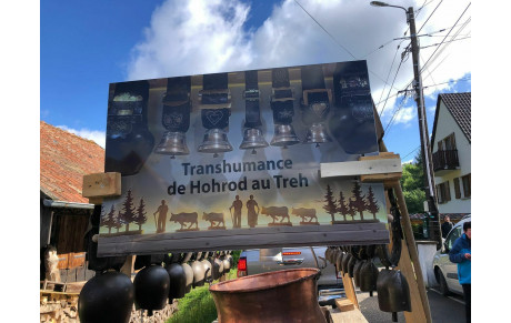 Transhumance 2026